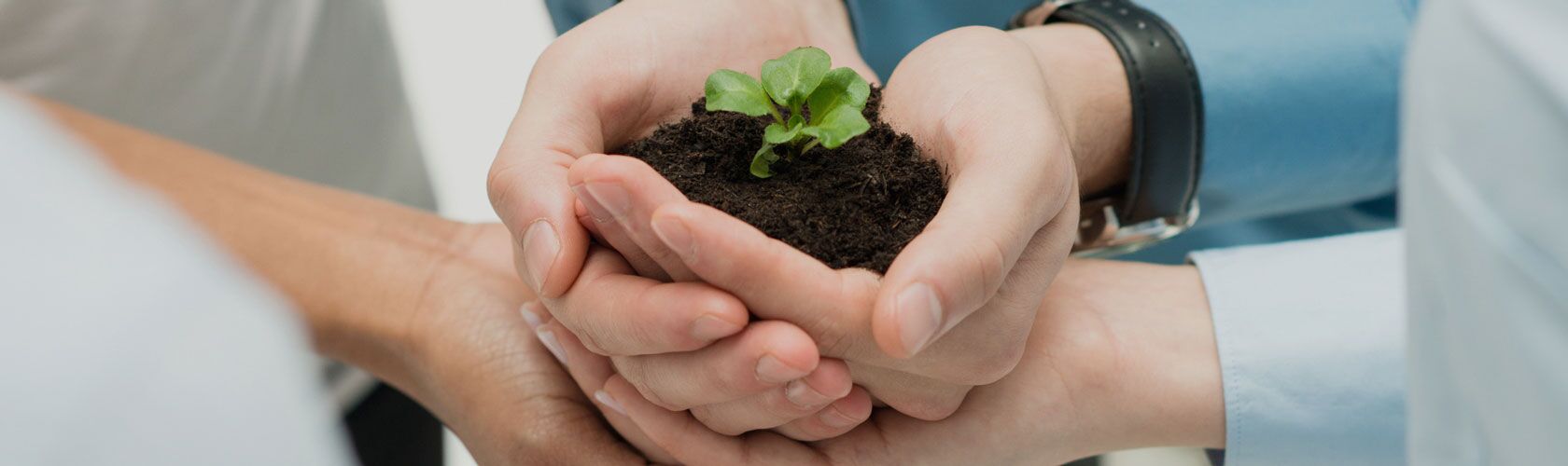 Mehrere Hände halten gemeinsam eine kleine Pflanze in Erde, symbolisierend unsere Werte von Zusammenarbeit und Wachstum.